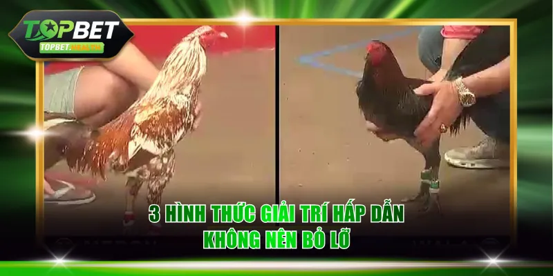 3 hình thức giải trí hấp dẫn không nên bỏ lỡ