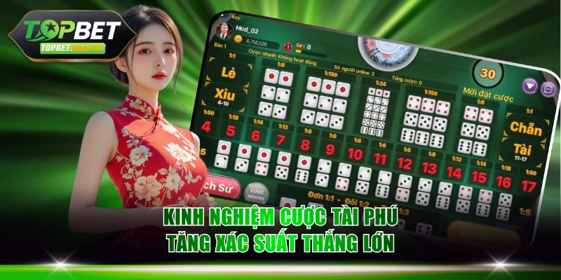 Kinh nghiệm cược Tài Phú tăng xác suất thắng lớn